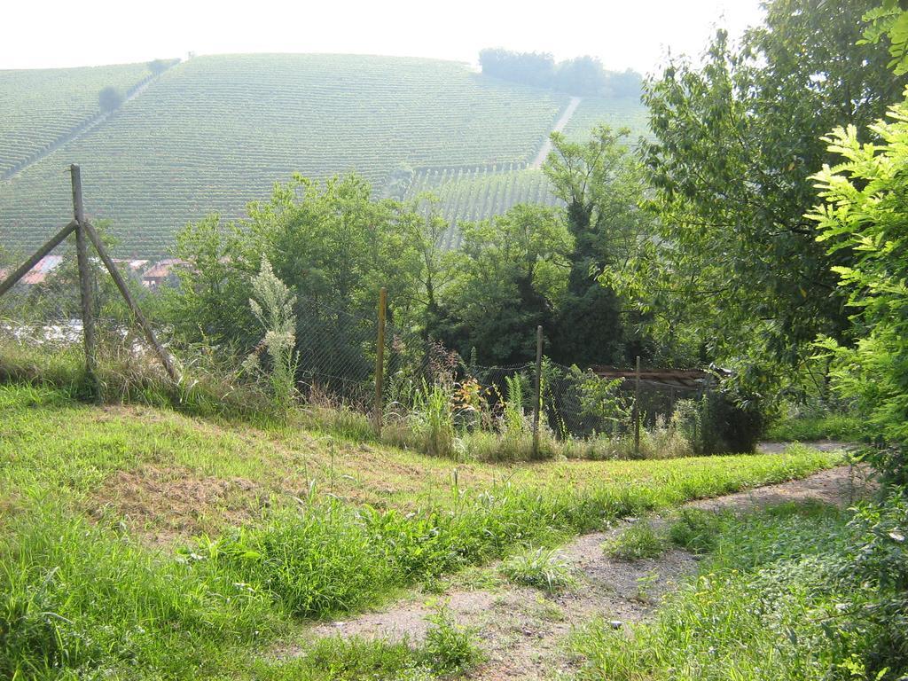 Il Borgo B&B Castellinaldo Exterior foto